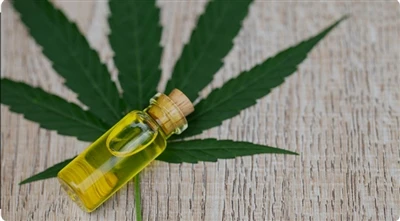 Který Highline Wellness produkt je pro vás nejlepší?